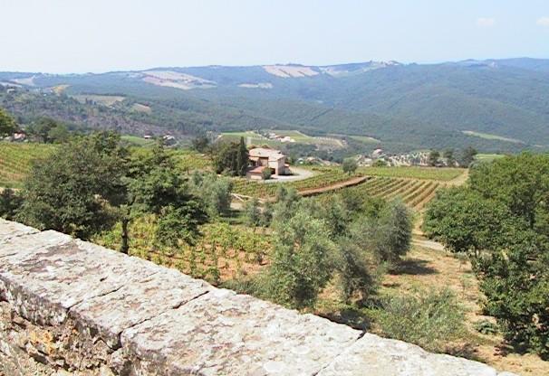 Podere Soccorso Montalcino Dış mekan fotoğraf