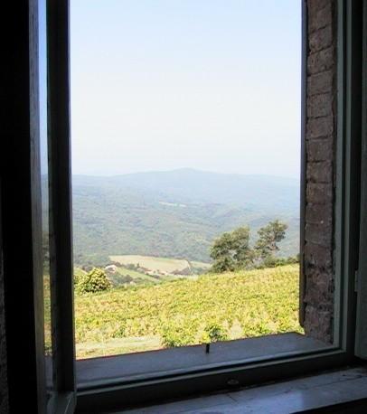Podere Soccorso Montalcino Dış mekan fotoğraf